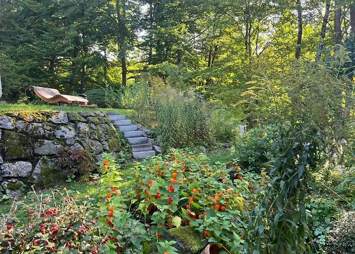 Appartement Forsthaus Heinrichsbach Zella-Mehlis